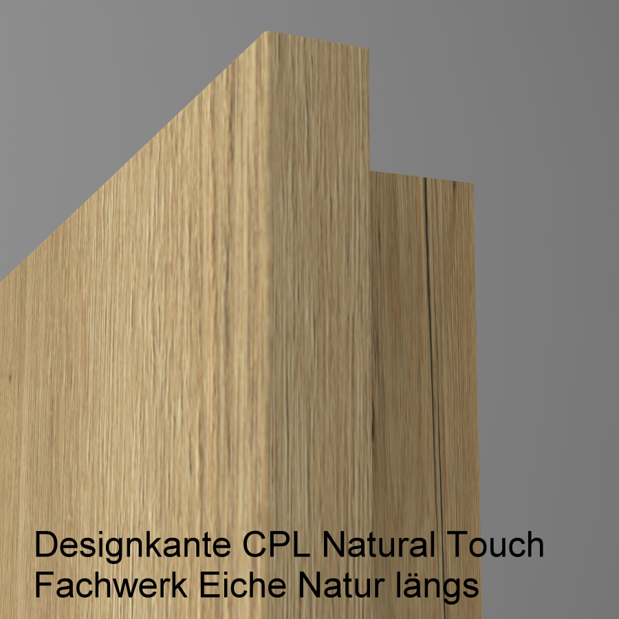 Lisenentür LISO L2 mit Designkante
