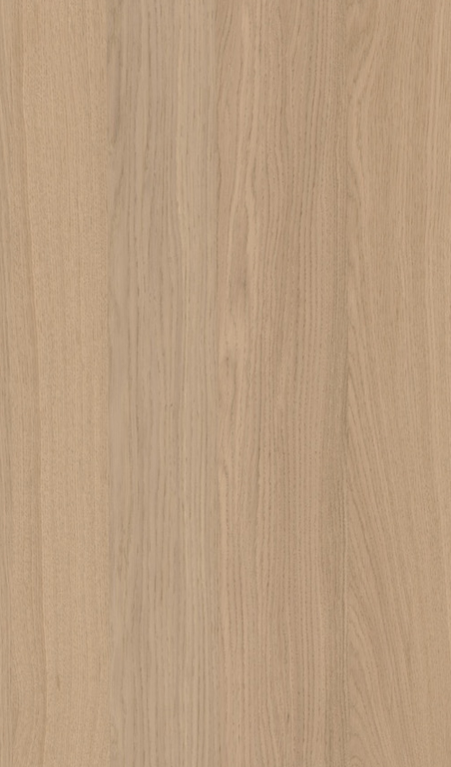 Oberflächenmuster Furnier Plankeneiche Creme matt lackiert **längs/quer**
