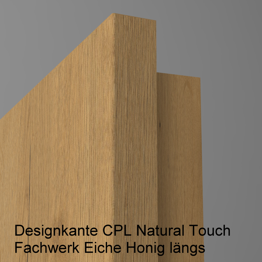 Lisenentür LISO L2 mit Designkante