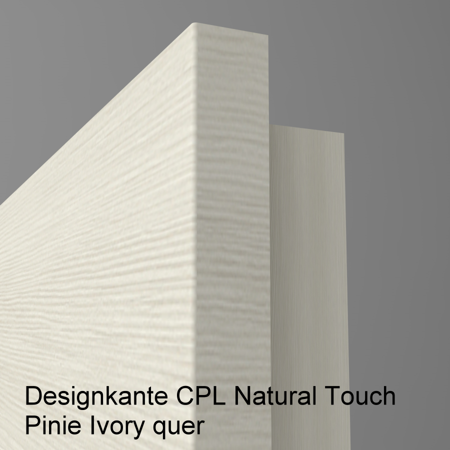 Lisenentür LISO L2 mit Designkante
