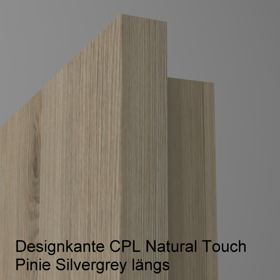 Lisenentür LISO L2 mit Designkante
