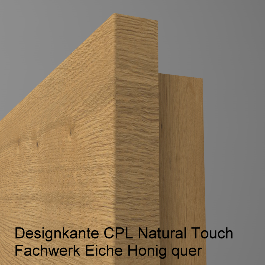 Lisenentür LISO L2 mit Designkante