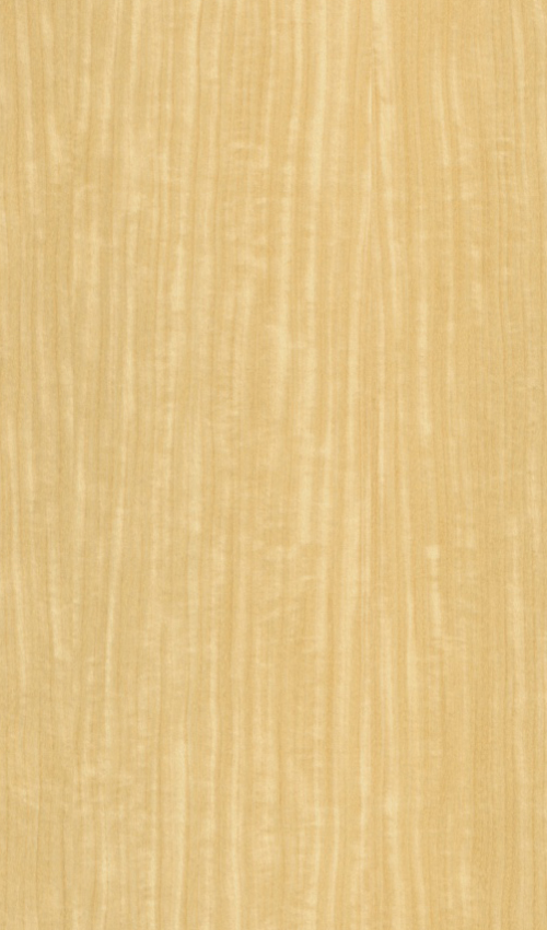 Oberflächenmuster Echtholz furniert Limba