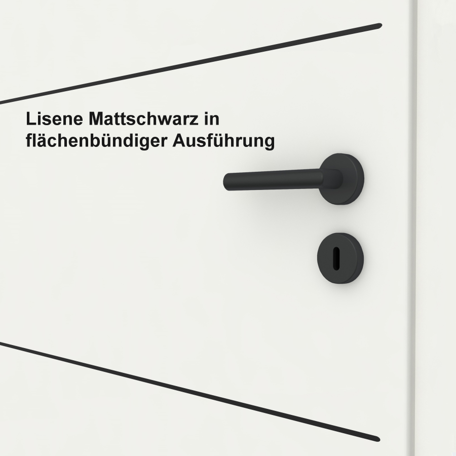 Lisenentür LISO L2 mit Rundkante