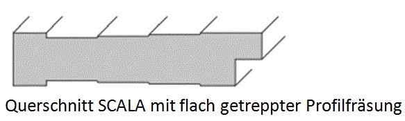 Füllungstür SCALA 2G LA