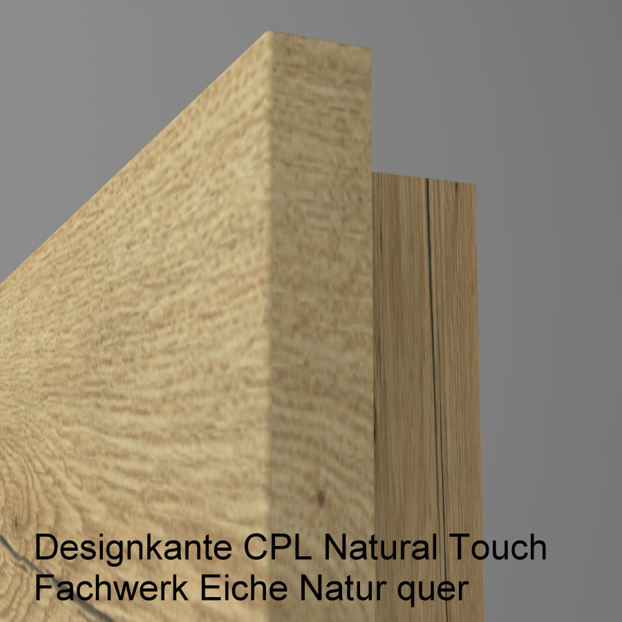 Lisenentür LISO L2 mit Designkante